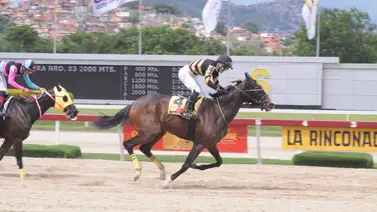 The Queen Nani The Queen Nani