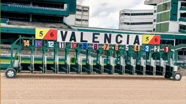Datos de última hora para el Hipódromo Nacional de Valencia 23-11-2024