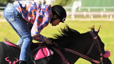 Yamper González espera decidir con estos ejemplares en la reunión 45 del domingo en La Rinconada Yamper González espera decidir con estos ejemplares en la reunión 45 del domingo en La Rinconada