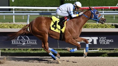 Edwin González duplica y toma ventaja sobre Zayas en la estadística de Gulfstream Park
