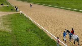 Estos son los retirados del Hipódromo Nacional de Valencia 23-11-2024