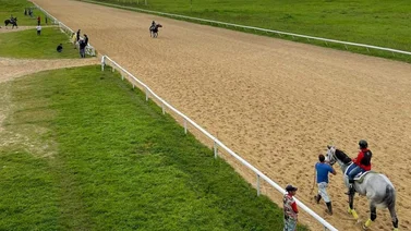 Estos son los retirados del Hipódromo Nacional de Valencia 23-11-2024