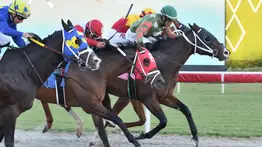 La Gaceta Hípica Internacional acertó a pie de página Pick 6 y Pick 5 de $18.515,16 en Gulfstream Park