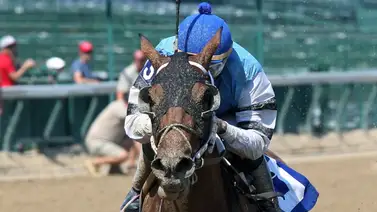 Sentenciado a prisión y multado jockey latino campeón en Estados Unidos Sentenciado a prisión y multado jockey latino campeón en Estados Unidos