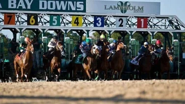 Jockeys venezolanos dominaron la segunda jornada en Tampa Bay Downs