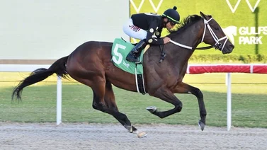 Tres jockeys criollos ganan en la última fecha del SunshineMeet en Gulfstream Park