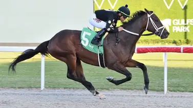 Tres jockeys criollos ganan en la última fecha del SunshineMeet en Gulfstream Park Tres jockeys criollos ganan en la última fecha del SunshineMeet en Gulfstream Park
