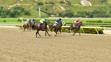 Tres jinetes son multados por esta razón luego de celebrada la reunión 45 Tres jinetes son multados por esta razón luego de celebrada la reunión 45