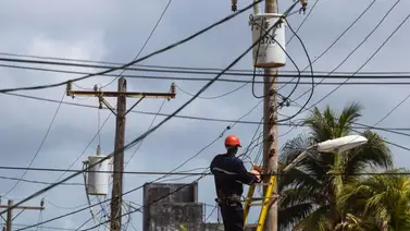 Empresa Eléctrica de La Habana  Empresa Eléctrica de La Habana