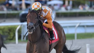 Conoce cuándo fue la última vez que Irad Ortiz Jr. ganó cinco carreras en una jornada