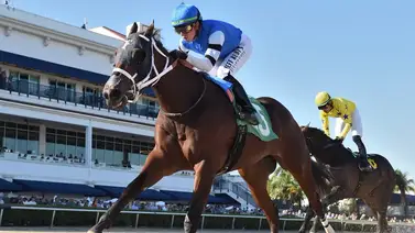 Cuatro stakes se disputarán en la semana inicial del Championship Meet Cuatro stakes se disputarán en la semana inicial del Championship Meet