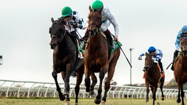 Siete Stakes con 2 de Grado 1 este fin de semana en el cierre de Del Mar