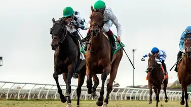 Siete Stakes con 2 de Grado 1 este fin de semana en el cierre de Del Mar Siete Stakes con 2 de Grado 1 este fin de semana en el cierre de Del Mar