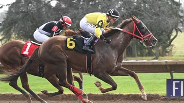 Keiber Coa consigue su segundo meeting consecutivo en Nueva York