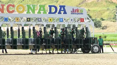 Son 11 carreras las que forman parte de la reunión 46 en La Rinconada Son 11 carreras las que forman parte de la reunión 46 en La Rinconada