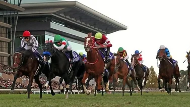 El campeón japonés ganador de la Japan Cup correrá de nuevo el próximo mes