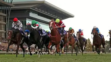 El campeón japonés ganador de la Japan Cup correrá de nuevo el próximo mes El campeón japonés ganador de la Japan Cup correrá de nuevo el próximo mes