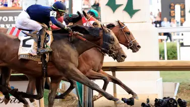 El ganador del Kentucky Derby Mystik Dan reaparecerá en esta carrera El ganador del Kentucky Derby Mystik Dan reaparecerá en esta carrera