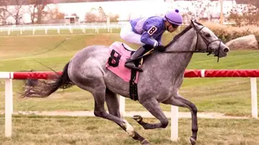 Mychel Sánchez suma dos más y se acerca a las 1.500 victorias de por vida Mychel Sánchez suma dos más y se acerca a las 1.500 victorias de por vida