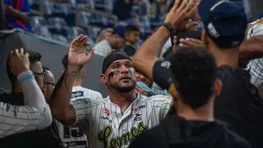LVBP: Leones lidera con autoridad este departamento ofensivo (+Detalles) LVBP: Leones lidera con autoridad este departamento ofensivo (+Detalles)