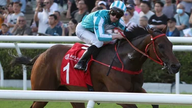 El mejor caballo del mundo cambia a la arena para buscar la carrera más millonaria del planeta