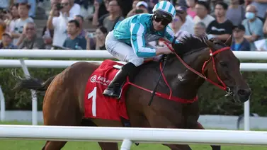 El mejor caballo del mundo cambia a la arena para buscar la carrera más millonaria del planeta El mejor caballo del mundo cambia a la arena para buscar la carrera más millonaria del planeta