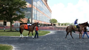 Parx Racing cierra la semana con cuatro Stakes este miércoles