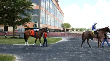 Parx Racing cierra la semana con cuatro Stakes este miércoles Parx Racing cierra la semana con cuatro Stakes este miércoles