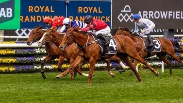 Muere potro invicto y ganador Stakes de grado en Australia en un accidente