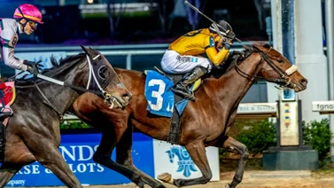 José Luis Ortiz arrasa en los Stakes de Zia Park este martes