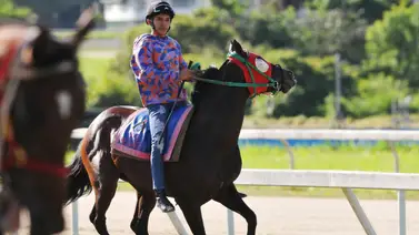 Yamper González muy optimista de volver al recinto de ganadores con dos de sus cinco montas para la R46 Yamper González muy optimista de volver al recinto de ganadores con dos de sus cinco montas para la R46