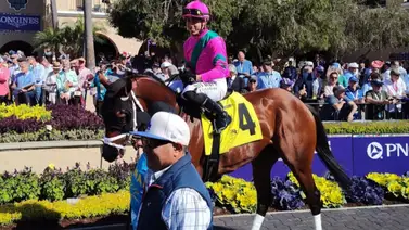 Irad Ortiz Jr. montará stakes en 3 hipódromos diferentes esta semana Irad Ortiz Jr. montará stakes en 3 hipódromos diferentes esta semana