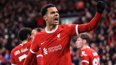 Cody Gakpo aparece contra el Real Madrid y anota este golazo (+Video) Cody Gakpo aparece contra el Real Madrid y anota este golazo (+Video)