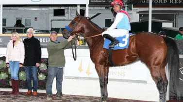 Mira la increíble forma como ganó el potro que costó 3.2 millones de dólares Mira la increíble forma como ganó el potro que costó 3.2 millones de dólares