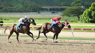 Así ajusta este ejemplar que siempre es dato, y para esta ocasión de ganar sería el batacazo del 5y6 para la R46 Así ajusta este ejemplar que siempre es dato, y para esta ocasión de ganar sería el batacazo del 5y6 para la R46