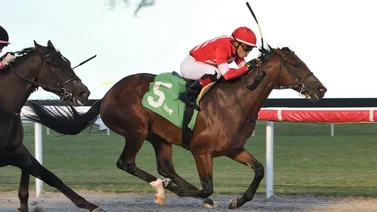Emisael Jaramillo inicia el Championship Meet con 25 montas en cuatro fechas