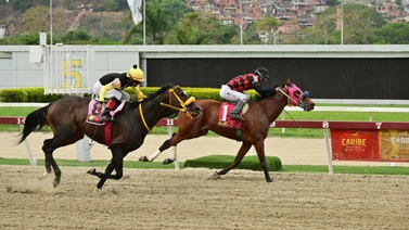 Mira como fue el ajuste del ejemplar que de ganar puede ser el gran “Mamonazo” del 5y6 en la R46