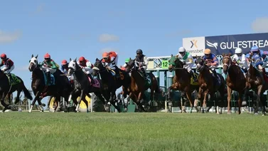 Estos son los primeros venezolanos en ganar en el inicio del Championship Meet.