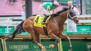 Media Hermana de la ganadora clásica Idiomatic debuta este sábado en Churchill Downs Media Hermana de la ganadora clásica Idiomatic debuta este sábado en Churchill Downs