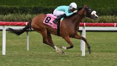 Skinny Cosmo Skinny Cosmo