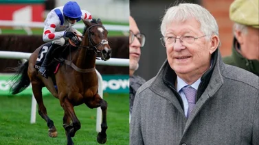 Sir Alex Ferguson ahora no deja de ganar Graded Stakes con sus caballos