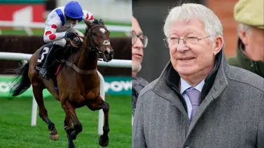 Sir Alex Ferguson ahora no deja de ganar Graded Stakes con sus caballos Sir Alex Ferguson ahora no deja de ganar Graded Stakes con sus caballos