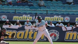 LVBP: Bravos cede terreno y pierde el primer lugar (+Info)