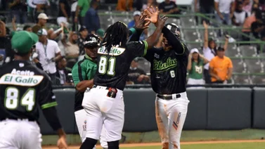 LIDOM: Así va la tabla de posiciones en la pelota dominicana