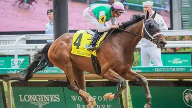 La medio hermana de Idiomatic gana en su debut en Estados unidos La medio hermana de Idiomatic gana en su debut en Estados unidos