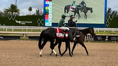 Jockey boricua arrasa en los dos stakes del sábado en Gulfstream Park