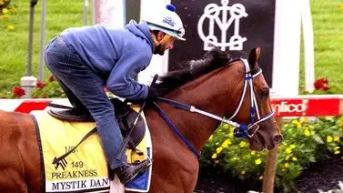 ¡Ufff! Mira lo que dijo el entrenador de Mystic Dan que incluye video de su ejemplar retirado ¡Ufff! Mira lo que dijo el entrenador de Mystic Dan que incluye video de su ejemplar retirado