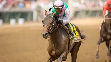 ¡Gloria Venezolana! Junior Alvarado gana de punta a punta el Breeders' Cup Distaff con Scylla ¡Gloria Venezolana! Junior Alvarado gana de punta a punta el Breeders' Cup Distaff con Scylla