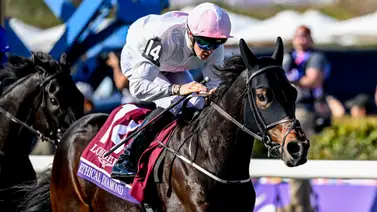 Magia en el césped en acción: Irlandés Ethical Diamond se alza con la victoria de la Breeders' Cup Turf (G1) Magia en el césped en acción: Irlandés Ethical Diamond se alza con la victoria de la Breeders' Cup Turf (G1)