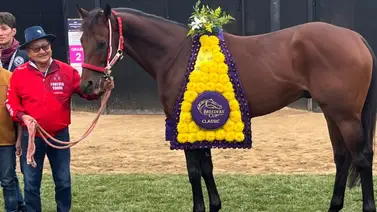 Esto dijo el entrenador de Forever Young tras ganar la Breeders’ Cup Classic G1 Esto dijo el entrenador de Forever Young tras ganar la Breeders’ Cup Classic G1